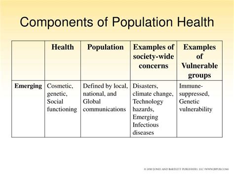 10 Components Of Population Health