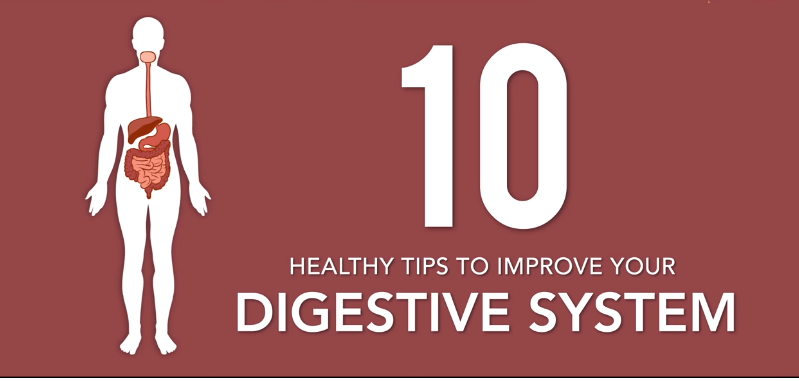 10 Healthy Tips To Improve Your Digestive System Infographic Infographics Medicpresents Com