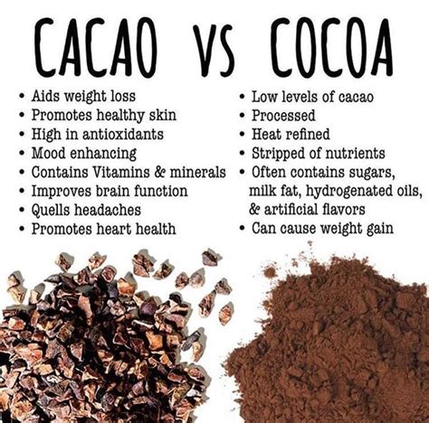 100 Cacao Chocolate Benefits