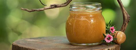 11 Manuka Honey Benefits The Miracle Honey From Down Under Life