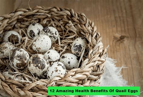 12 Amazing Health Benefits Of Quail Eggs You Need To Know Nagro