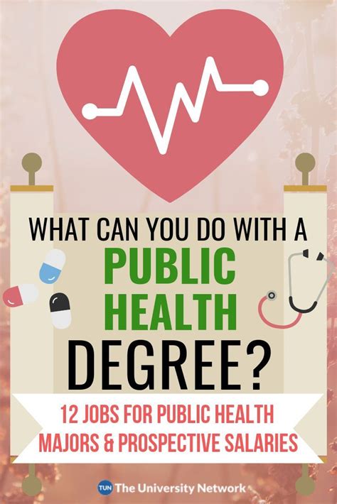 12 Jobs For Public Health Majors The University Network