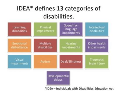 13 Idea Disability Categories Chart