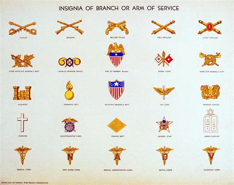 17 Officer Branches Army