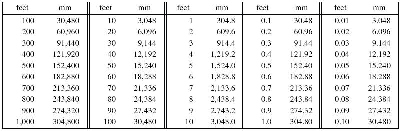 19 Feet To Mm