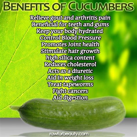 20 Cucumber Health Benefits