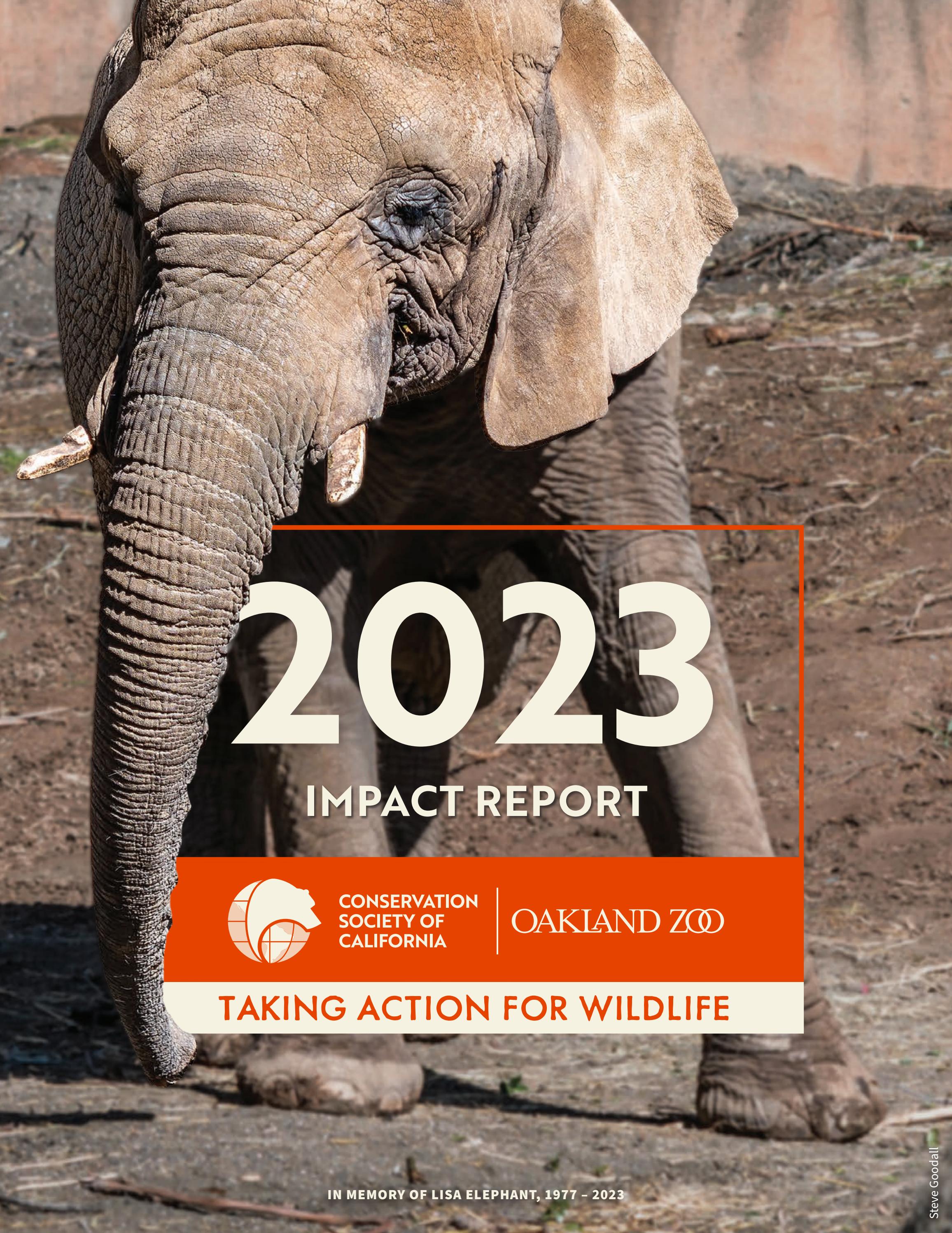 2020 Oakland Zoo Impact Report By Oakland Zoo Issuu