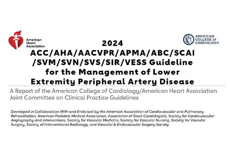 2024 Acc Aha Aacvpr Apma Abc Scai Svm Svn Svs Sir Vess Guideline For The Management Of Lower Extremity Peripheral Artery Disease A Report Of The American College Of Cardiology American Heart Association Joint Committee On Clinical Practice Guidelines