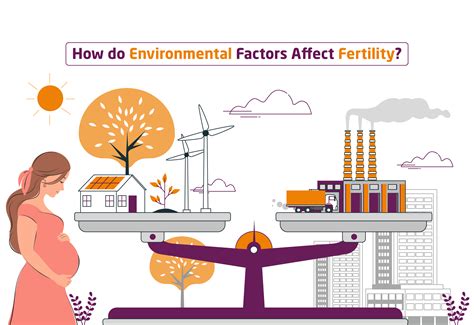 3 Environmental Factors That Can Impact Your Health Chester County