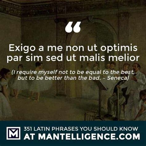 355 Latin Quotes