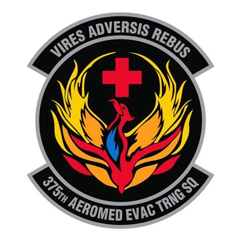 375Th Aeromedical Evacuation Training Squadron