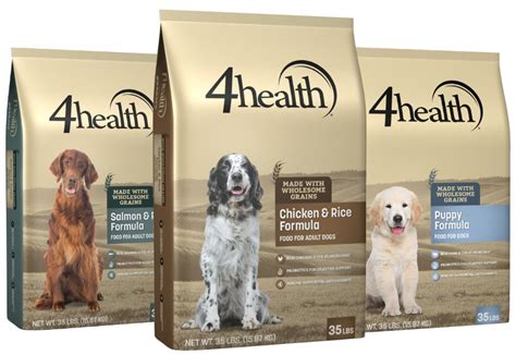 4 Healthy Dog Food Options