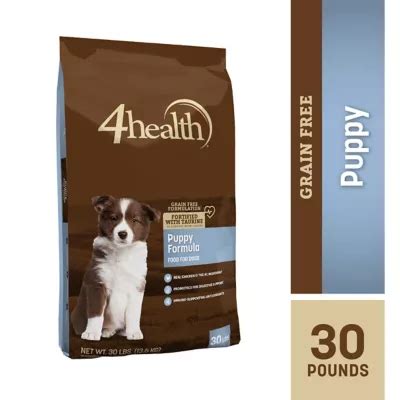 4 Healthy Puppy Food Tips