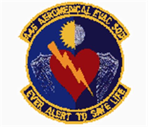 445 Aeromedical Evacuation Squadron