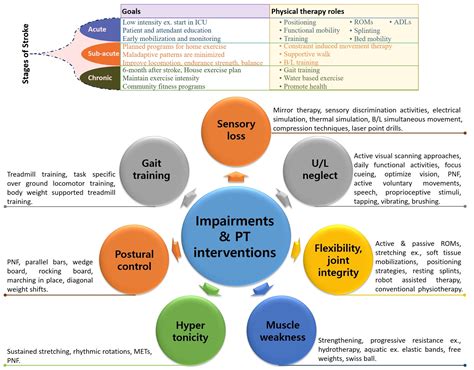 5 Areas Of Functional Impairment