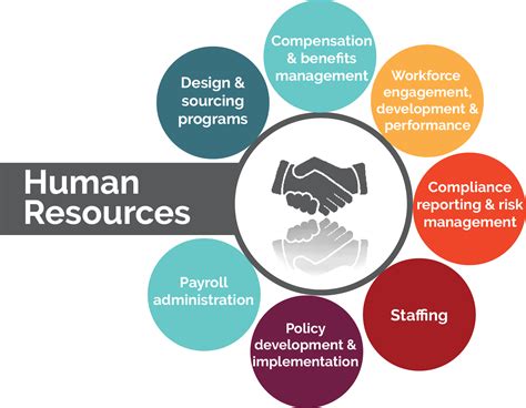 5 Areas Of Human Resources