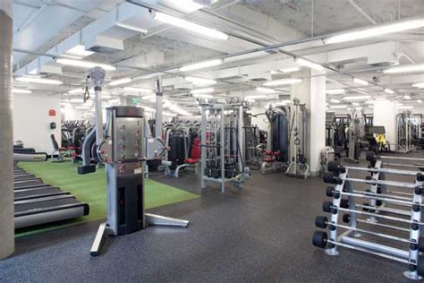 5 Best Gyms In Sydney Update List Of Leading Gyms