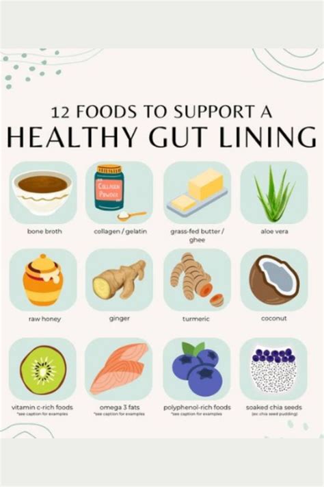 5 Effective Tips To Follow For Optimal Gut Health Infographic Artofit