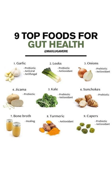 5 Effective Tips To Follow For Optimal Gut Health Infographic