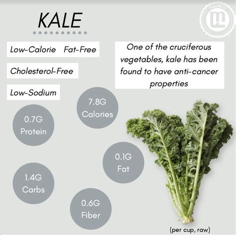 5 Essential Health Benefits Of Kale Mealfit