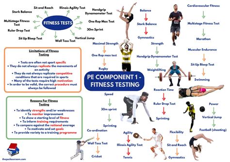 5 Physical Fitness Tests