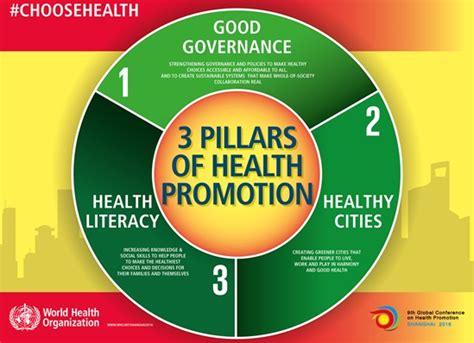 5 Pillars Of Health Promotion