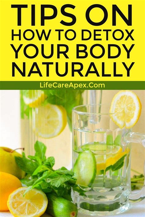 5 Quick Tips To Detox Your Body Detox Your Body Detox Detox Help