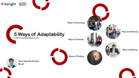 5 Ways Of Adaptability The Foundation To Sustainable And Productive Life