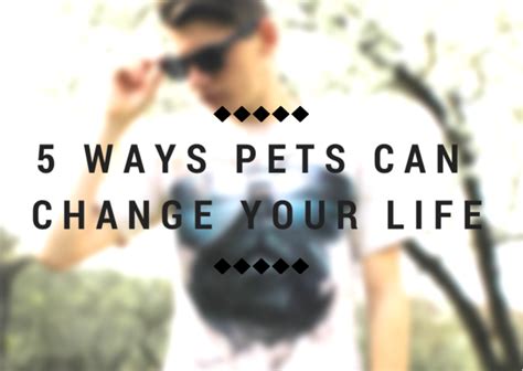 5 Ways Pets Can Change Your Life Ravenhawks Magazine Magick For Mind