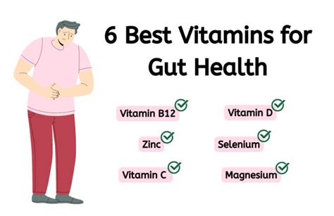 6 Best Vitamins For Gut Health Trumeta