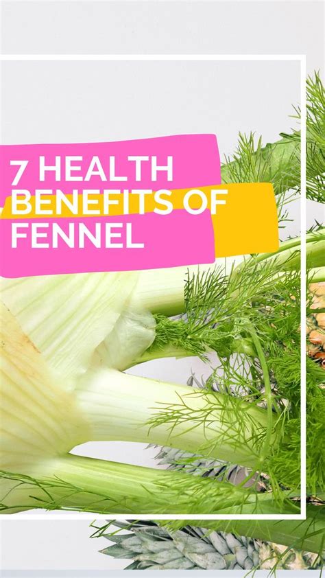 7 Health Benefits Of Fennel Artofit