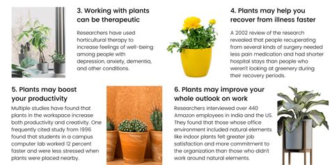 7 Science Backed Benefits Of Indoor Plants