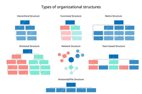 7 Types Of Organizational Structures For Companies Organizational