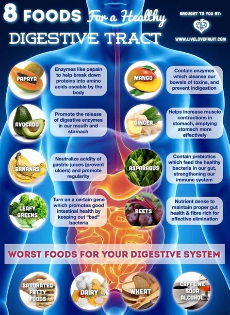 Worst Foods for Gut Health