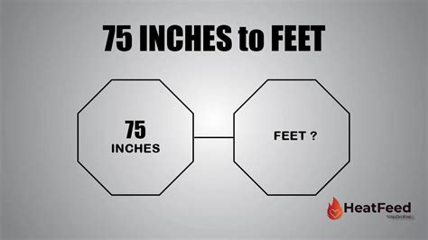 71 75 Inches To Feet