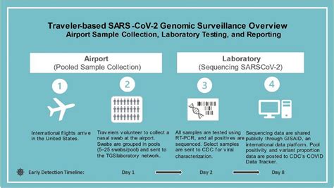 A Response Playbook For Early Detection And Population Surveillance Of New Sars Cov 2 Variants In A Regional Public Health Laboratory Bmc Public Health Full Text