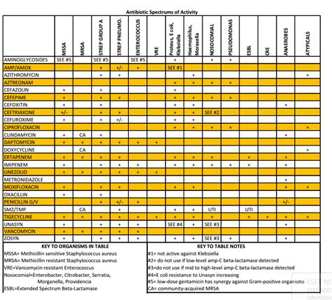 Acmc My Chart