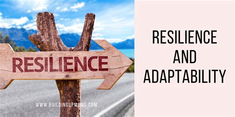 Adaptability Resilience