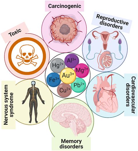 Adverse Health Effects Explained