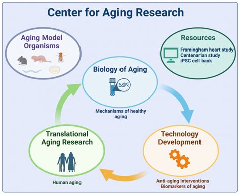 Aging Research Center Near Me