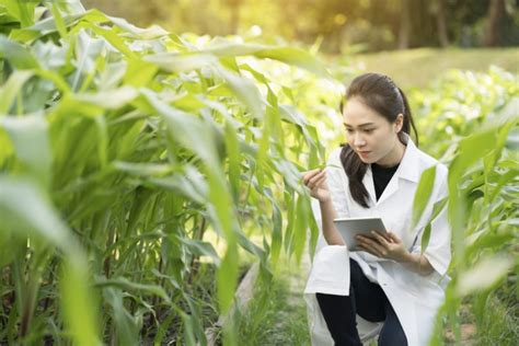 Agriculture Degree Online