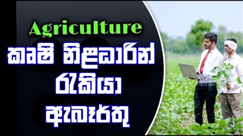 Agriculture Jobs Top Highest Salary Paying Countries For Agriculture