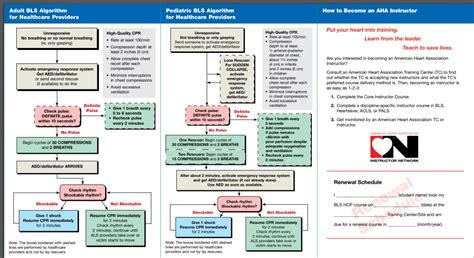 Aha Cpr Guidelines 2022 Pdf