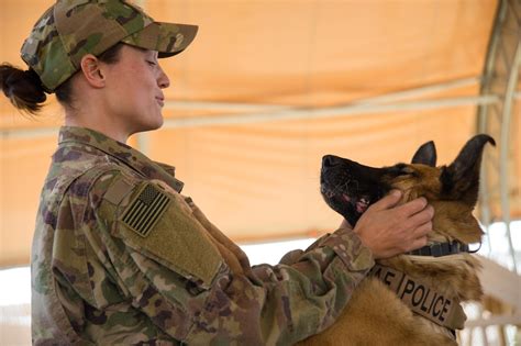 Air Force Dog Handler Program