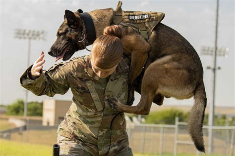 Air Force Dog Handler Salary