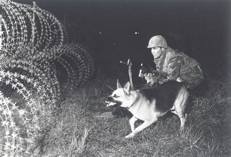 Air Force Dog Handlers Vietnam