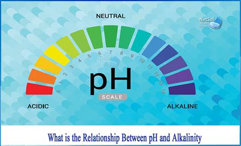 Alkalinity And Ph Relationship