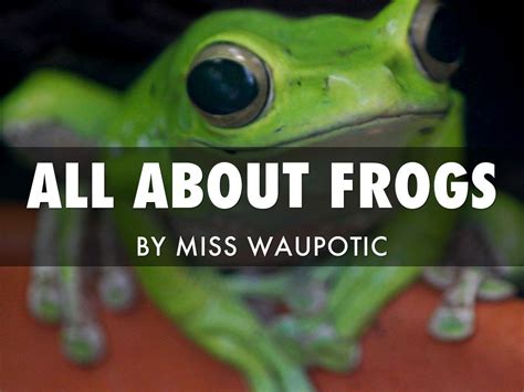 All About Frogs By Kathleen Waupotic