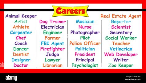 All Types Of Career Fields