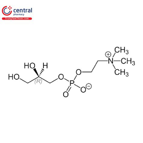 Alpha Glycerophosphocholine